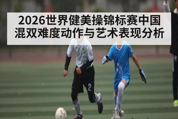 2026世界健美操锦标赛中国混双难度动作与艺术表现分析